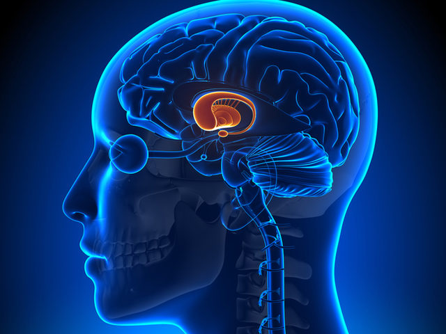 Beyin tümörü ameliyatı nasıl olur? Beyin tümörü ameliyatı öncesi ve