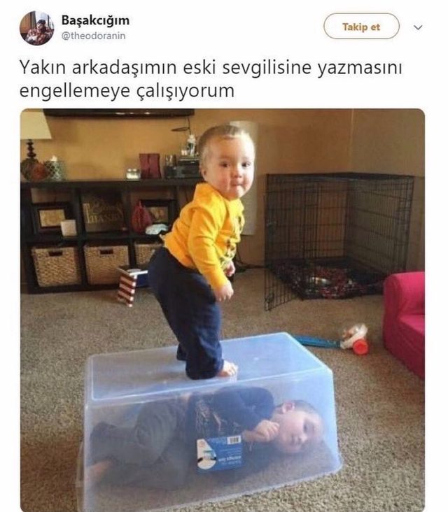 Image from iOSdfsdfdsf