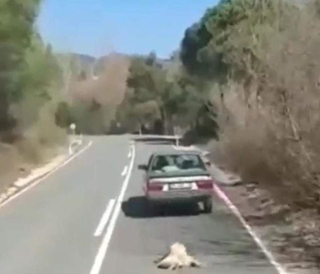 Ä°zmir'de Otomobillerine BaÄladÄ±klarÄ± KÃ¶peklerini SÃ¼rÃ¼kleyen Ä°ki SÃ¼rÃ¼cÃ¼ye Ceza ile ilgili gÃ¶rsel sonucu