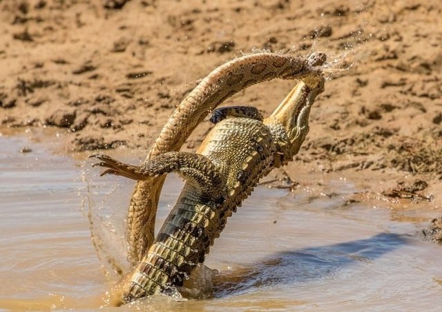 National Geographic� in arşivinden en inanılmaz fotoğraflar trend