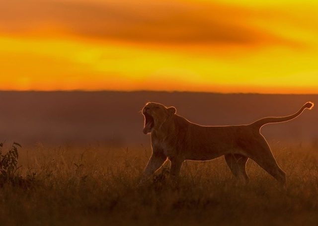 National Geographic� in arşivinden en inanılmaz fotoğraflar trend