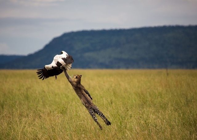 National Geographic� in arşivinden en inanılmaz fotoğraflar trend