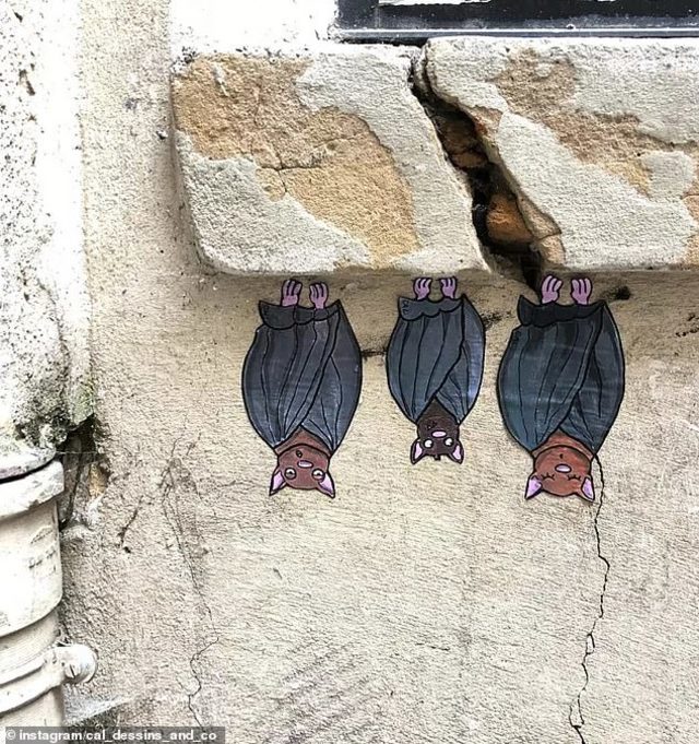 Kentsel dönüşüm! 3 yıldır şehrinin sokaklarını boyuyor trend