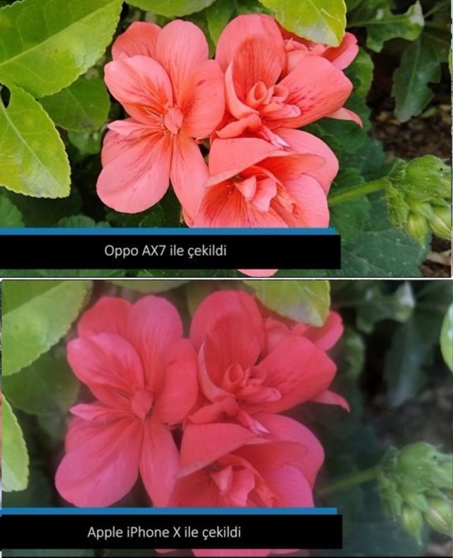 Oppo AX7, iPhone X karşısında trend
