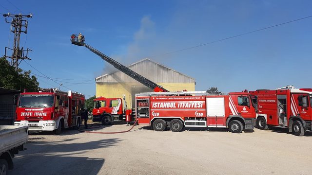 Çatalca'da ayçiçeği deposunda yangın