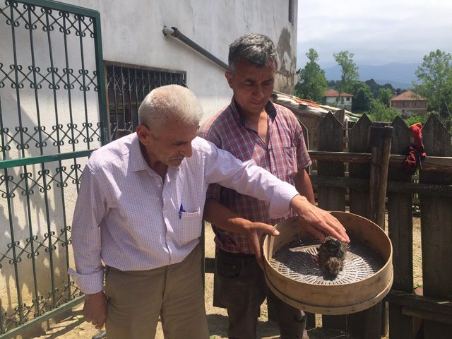 Çamura saplanan yavru tavşanı kurtardı