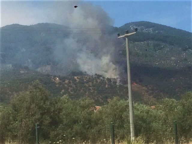 Kazdağları'ndaki çöplükte yangın