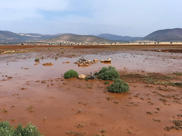 Korkuteli'de sel, evler ile tarım alanlarına zarar verdi