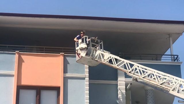 Papağan 'Ciguli', komşunun balkonuna kaçtı
