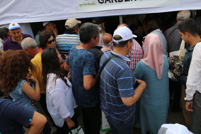 Ücretsiz saksı çiçeği almak isteyenler birbiriyle yarıştı