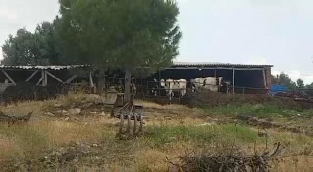 Soma'da yıldırım düştü: 9 kişi yaralandı, 1 inek telef oldu