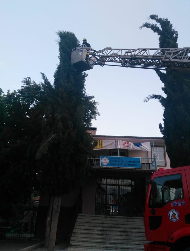 Çocukların dikkati yavru kuşları kurtardı