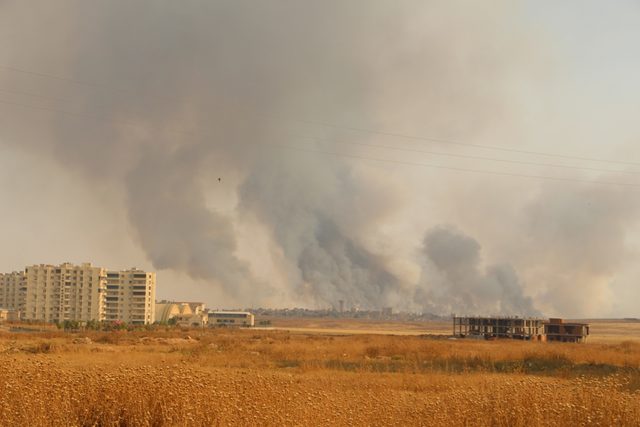 Suriye'deki arazi yangını Nusaybin'den görüntülendi