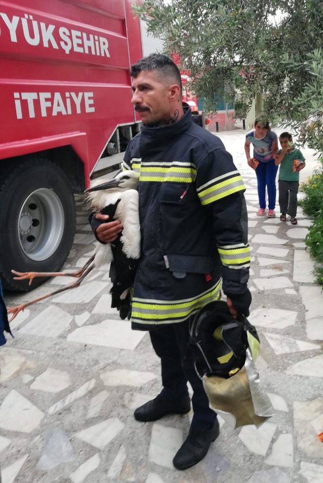 Cami kubbesinde sıkışan leyleği itfaiye kurtardı