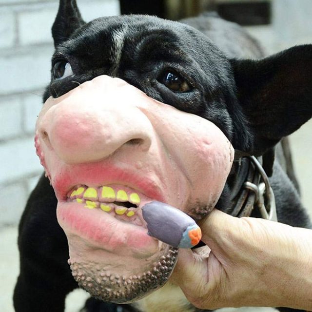 Çok tuhaflar! İnsan yüzüne benzeyen köpek maskeleri satışa çıktı