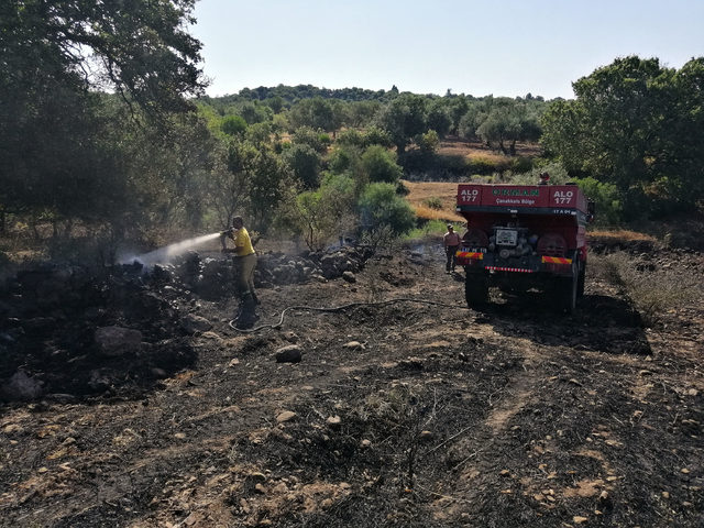Çanakkale’de zeytinlik yangını