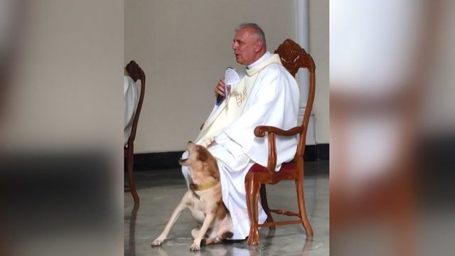 Kilisede ayin sırasında oyun oynamak isteyen köpek kamerada