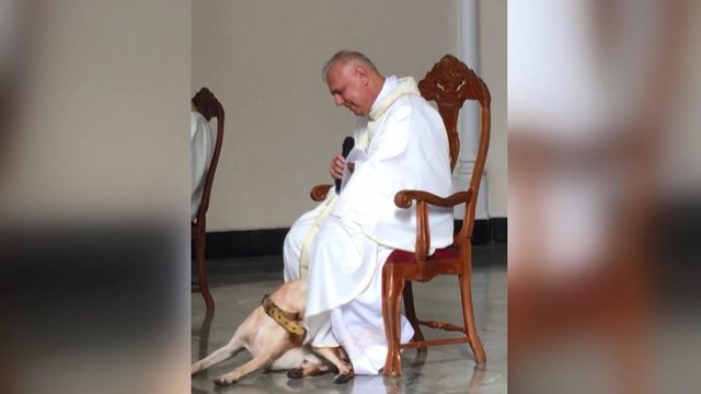 Kilisede ayin sırasında oyun oynamak isteyen köpek kamerada