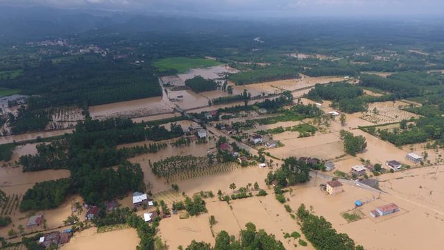 Terme'deki selin bilançosu ortaya çıktı