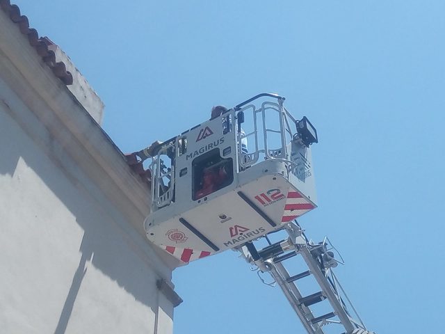 Kiremitlerin arasına sıkışan serçeyi itfaiyeciler kurtardı