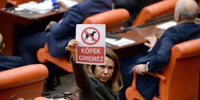 CHP’lilere ‘’Köpek giremez’’ pankartı ile ilgili görsel sonucu