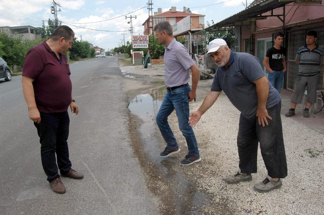 Mahalleyi böcekler bastı! "Milyonlarca var"