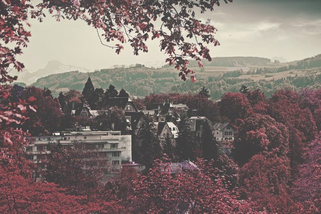 bern