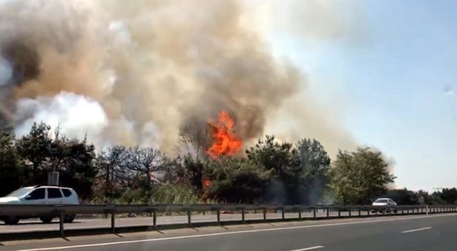 Tekirdağ’da yazlıkçıları korkutan yangın