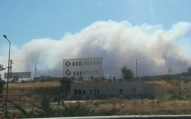 Gaziemir'de orman yangını