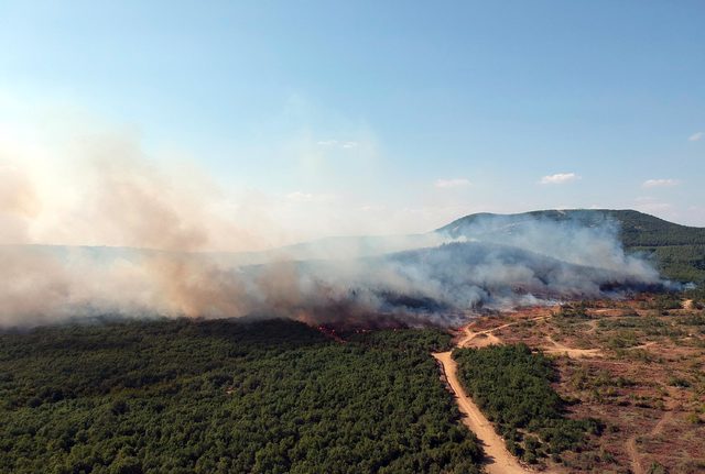 Keşan'da orman yangını (2)