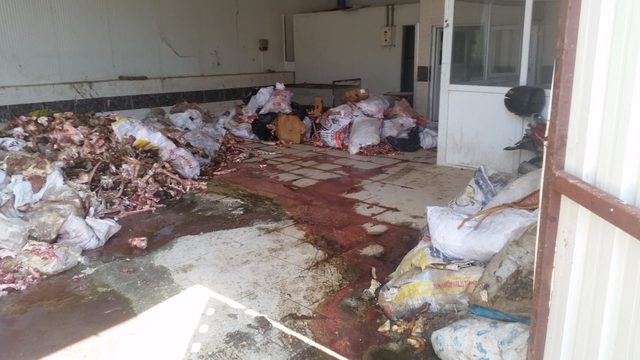 Kötü koku yayan sakatat işletmesi mühürlendi