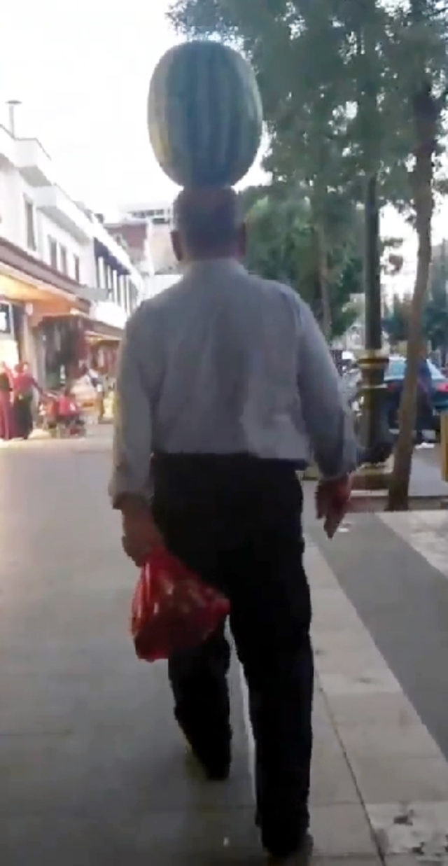 Kafasında karpuz taşıdı