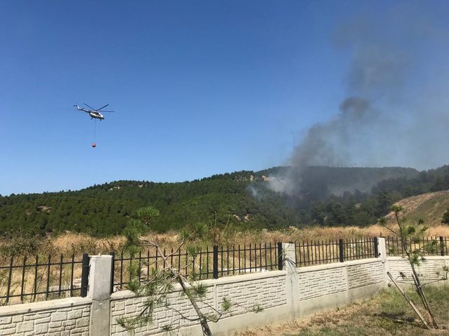 Çanakkale'de orman yangını (1)