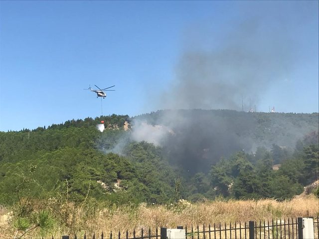 Çanakkale'de orman yangını (1)