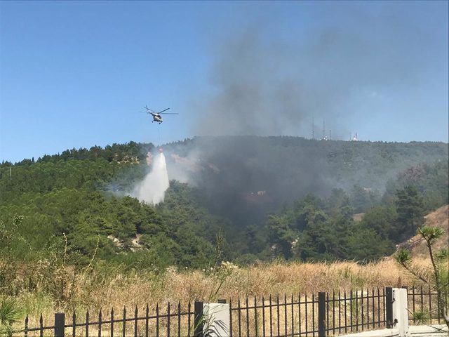 Çanakkale'de orman yangını (1)