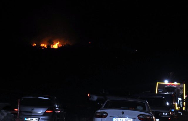 Malkara'da ormanlık alanda yangın: 200 dönümlük alan kül oldu