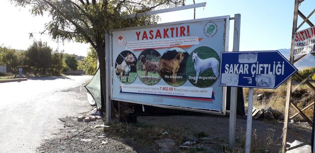 Kayseri'de 'tehlikeli köpek' uyarısı