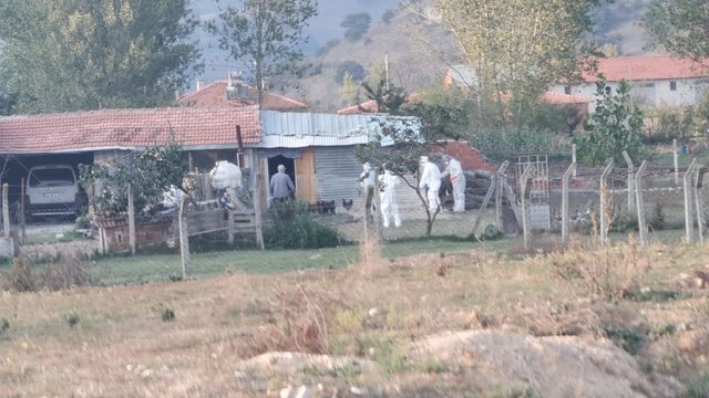 Bursa'da 2 ağıldaki 170 kuzu telef oldu