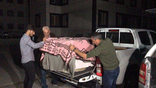Kapıkule'de piton ile yavru timsah ve kertenkele ele geçirildi (2)