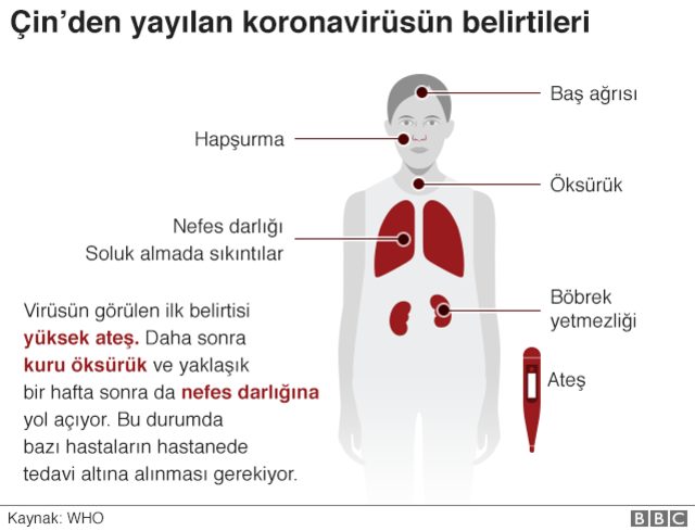 Koronavirüs