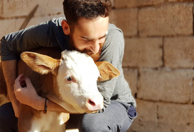 201807089006149051750861879-pqwn-T2hr