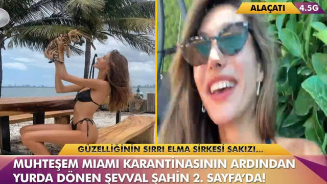 5f0058e3554281153cb62985