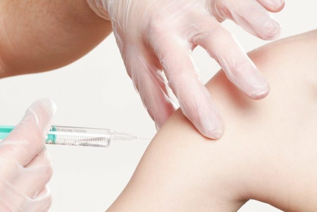 Koronavirüs aşısı için yarım milyon köpekbalığı öldürülebilir 1 1