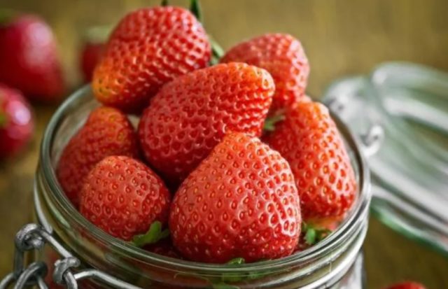 Tripofobi nedir? Tripofobi neden olur? Tripofobi tedavisi var mı? 1 Tripofobi nedir? Tripofobi neden olur? Tripofobi tedavisi var mı?