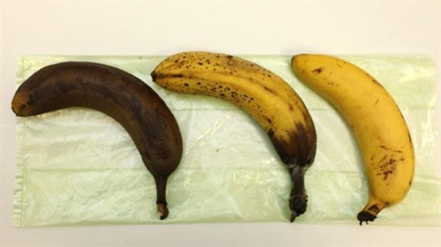 5800e359f251ed1110b12c17