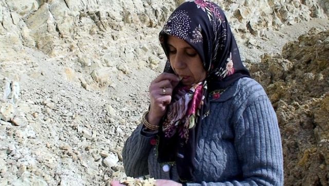 Toprak yiyen çocuklara dikkat Toprak yiyen çocuklara dikkat