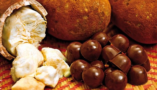 nadir-bulunan-dunyanin-en-pahali-meyvesi-cupuacu