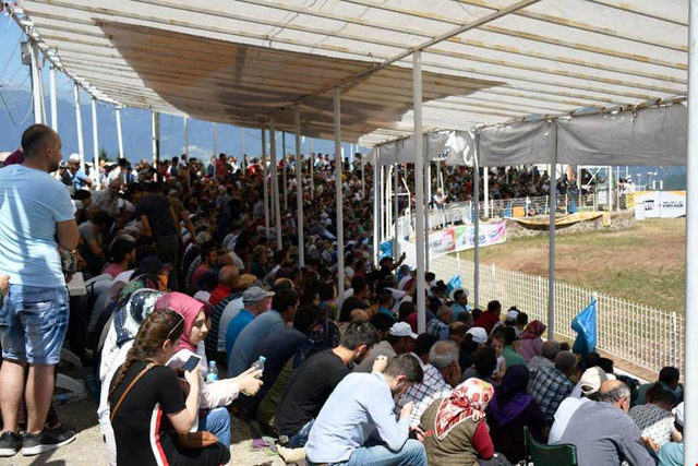 Kafkasör Yaylası'nda boğa güreşleri nefes kesti