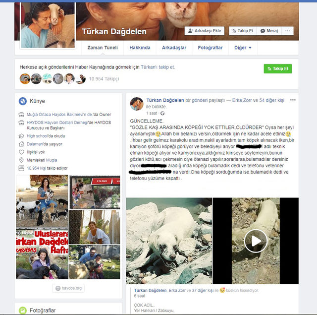 Valilikten gözleri oyulmuş bulunan köpekle ilgili açıklama