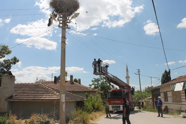 Çankırı'da elektrik tellerine takılan leyleği itfaiye kurtardı